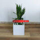 PLANTA AMBIENTAL PARA STANDS